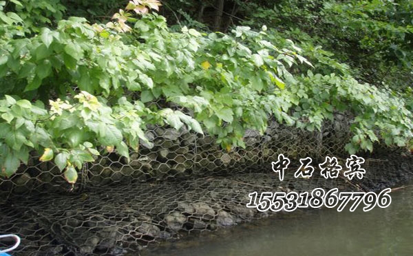 格賓網護岸 格賓網護岸