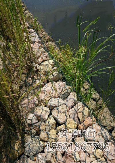 固濱籠網(wǎng)護(hù)腳 固濱籠網(wǎng)護(hù)腳