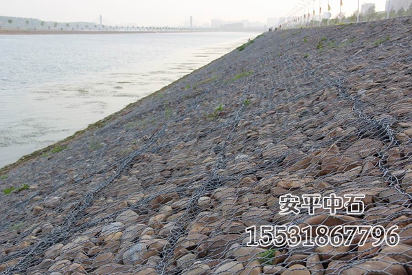 雷諾護墊 雷諾護墊