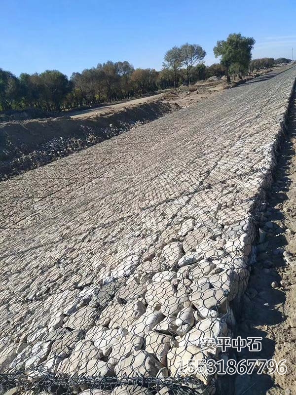 雷諾護墊 雷諾護墊