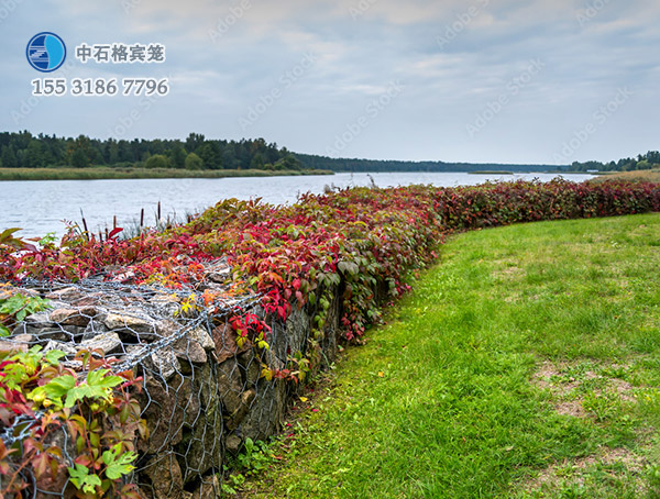 ct1895.jpg ct1895.jpg